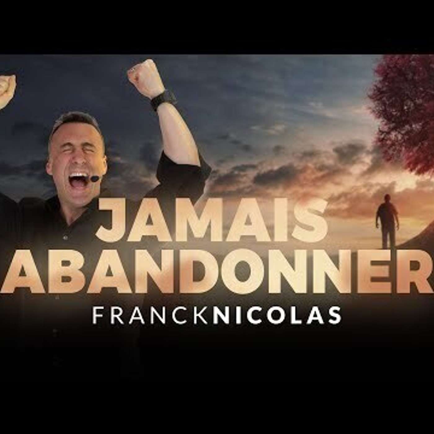SPARK LE SHOW: COMMENT NE JAMAIS ABANDONNER (CE QUI NOUS TIENT À COEUR) episode artwork