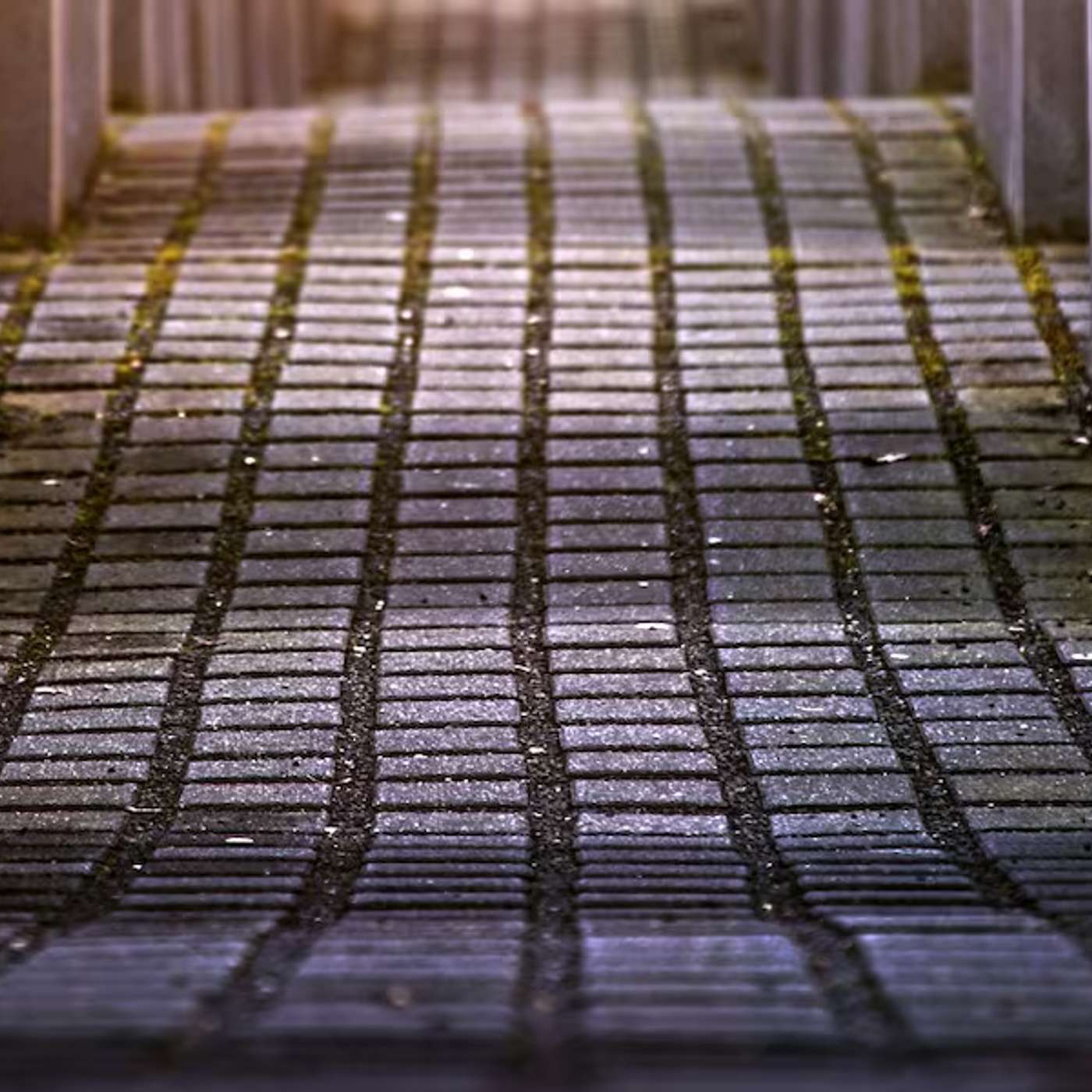 World Leaders Honor Auschwitz Liberation, Doomsday Clock Reaches 89 Seconds, NASA Discovers Ancient Water Samples, Trump's Controversial Palestine Proposal, and more...