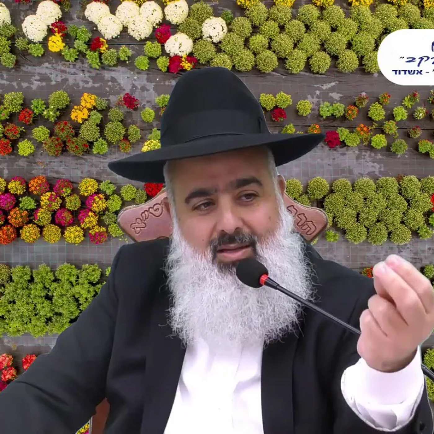 ראש השנה בפתח וכולנו רוצים ישועות וחיים טובים!! episode artwork