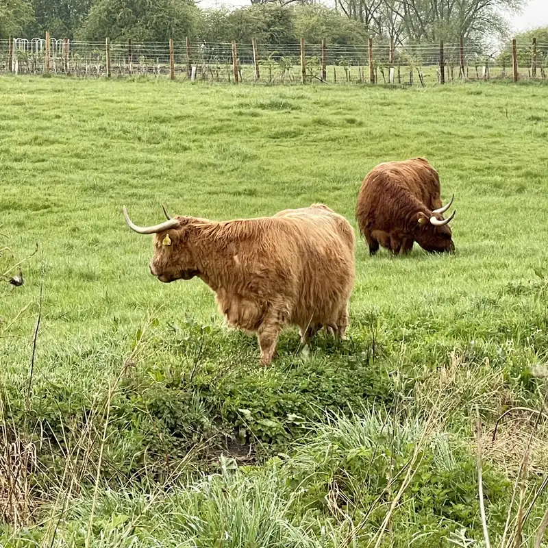 life in a small town, when you meet your neighbour in a field, you stop and have a chat