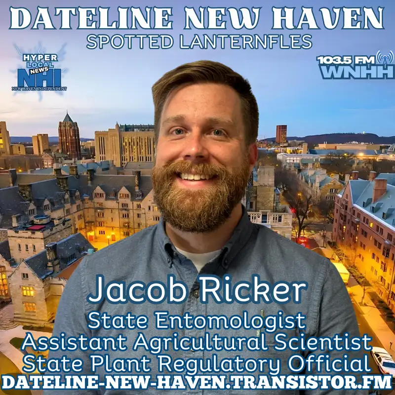 Spotted Lanternflies