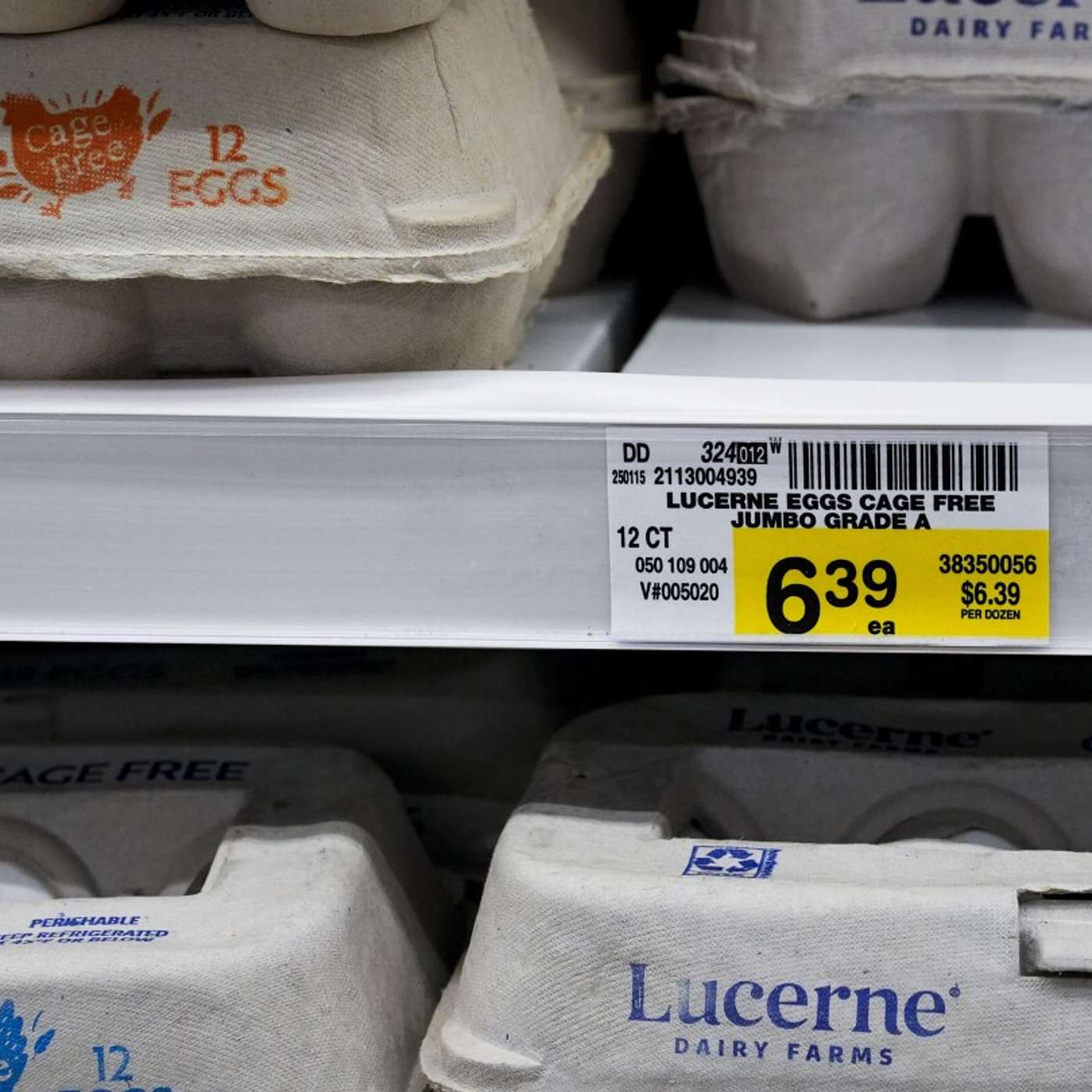 Judge to Rule on Trump's Order, Shapiro Pushes Cannabis Legalization, Police Investigate $40000 Egg Heist, Swimmers Sue NCAA Over Fairness, and more...