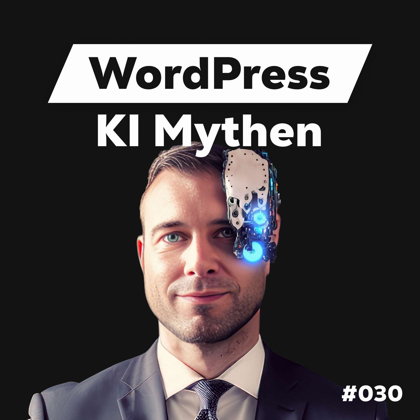 Die Dominik Liss Show (WordPress & Business Talks)