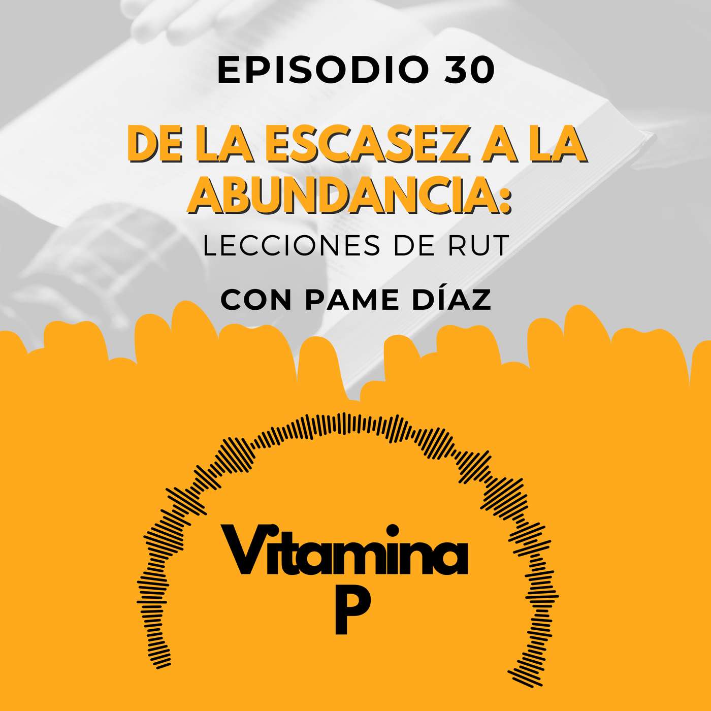 Portada de Vitamina P
