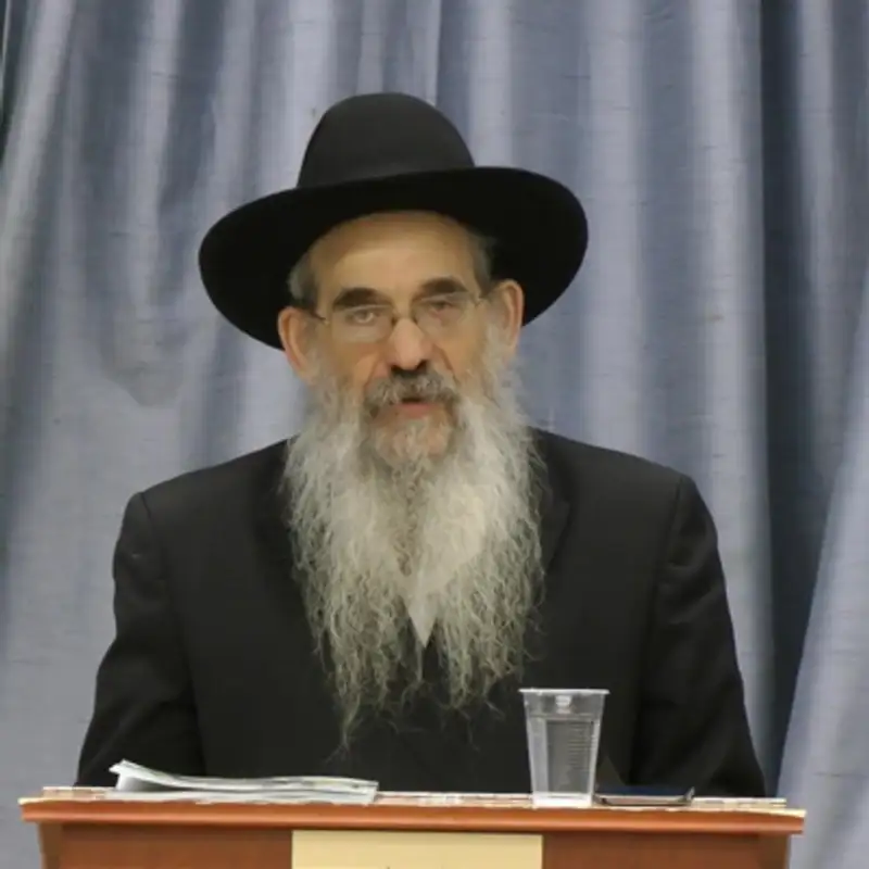 Moshiach Mindset: SYNTHESIS, Episode 5 - Rabbi Berel Bell