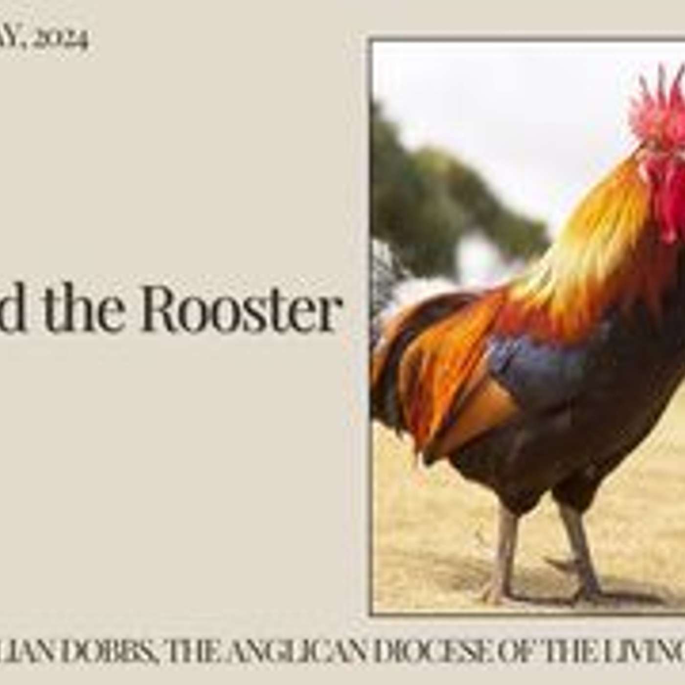 Denial and the Rooster.