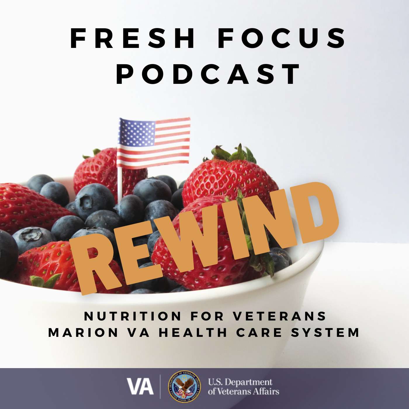 Fresh Focus #48: REWIND Episode 11: Lactation Nutrition episode artwork