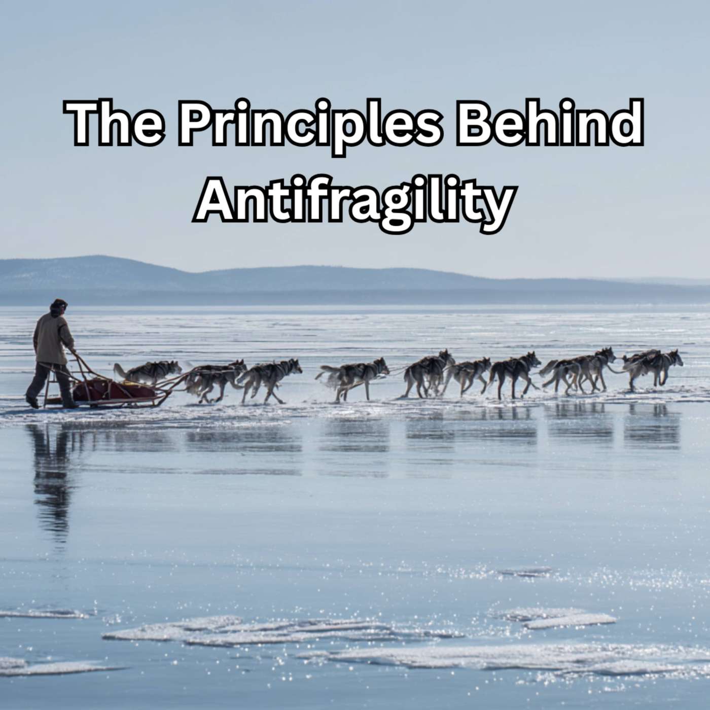 Day 114 -  The Principles Behind Antifragility episode artwork