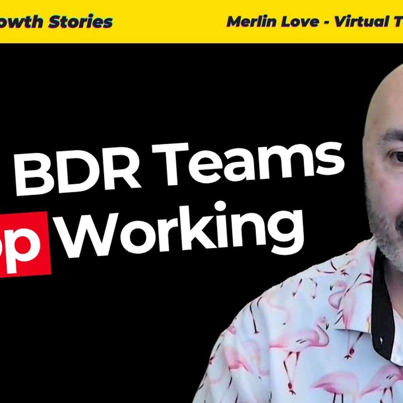 Kill Your BDR Team and Fund Marketing Instead — A RevOps Leader's Case for 2025 episode artwork