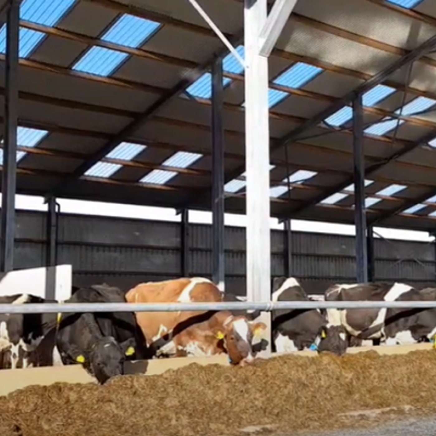 Advisor update from the grassroots