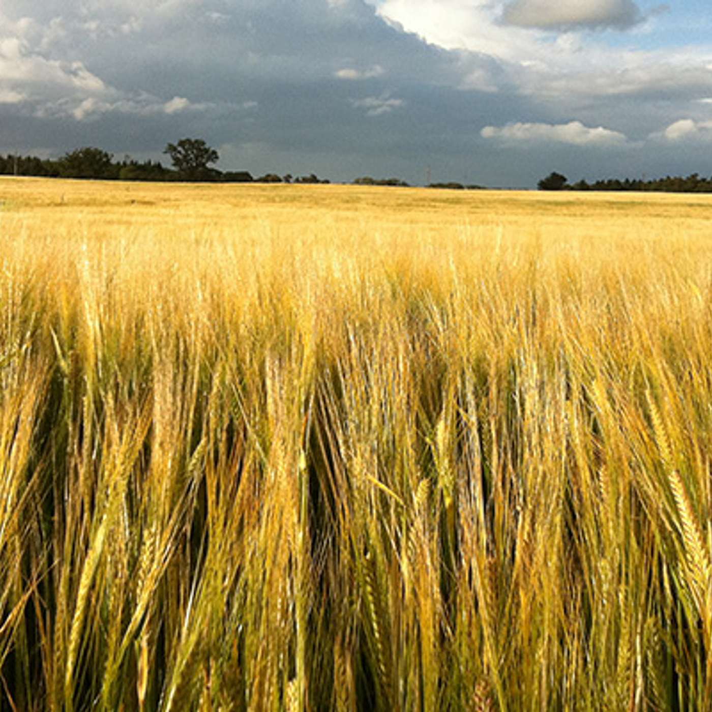 Maximising your take home income Maximising your take home income