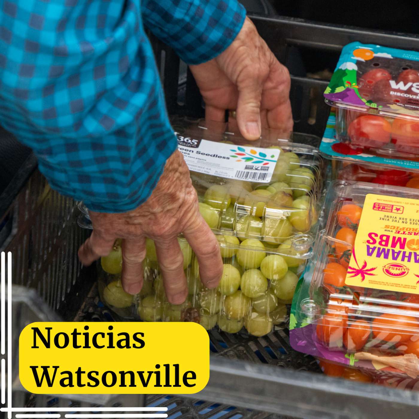 Noticias Watsonville