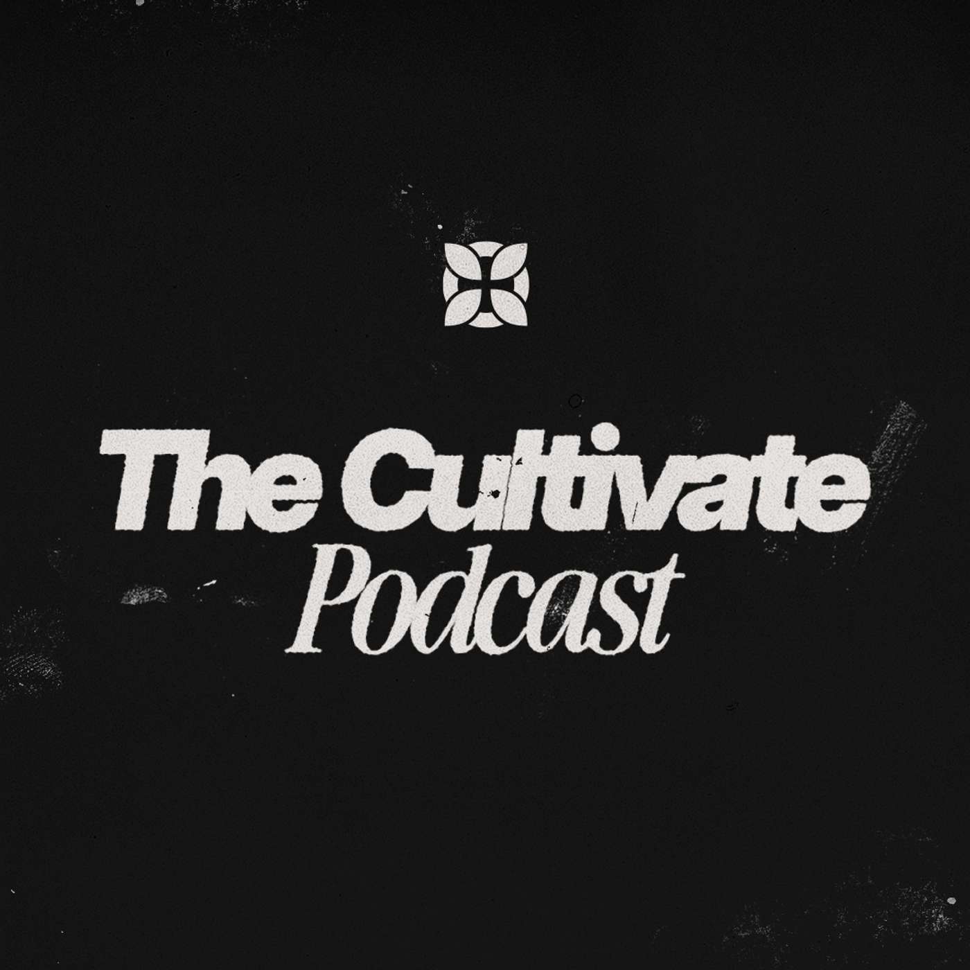 The Cost of Being a Disciple episode artwork