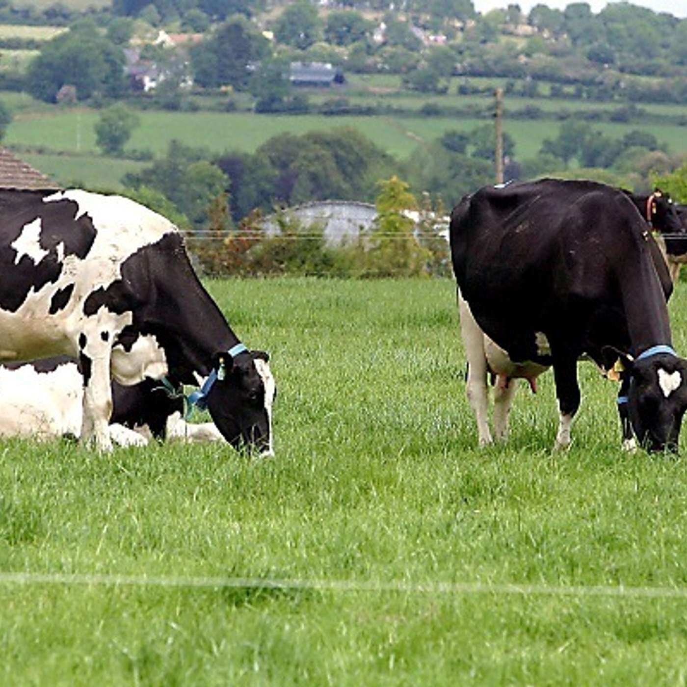 Making informed decisions regarding farm stocking rate