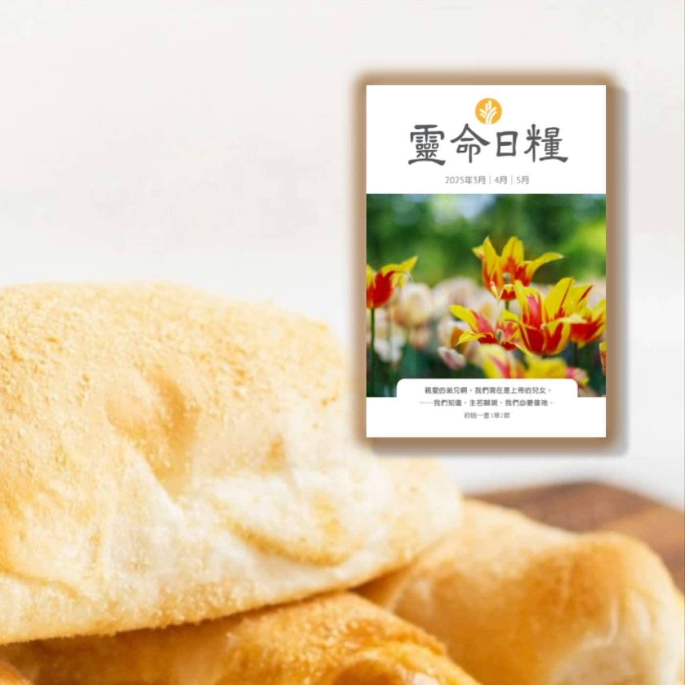 5月6日  謙卑卻尊貴