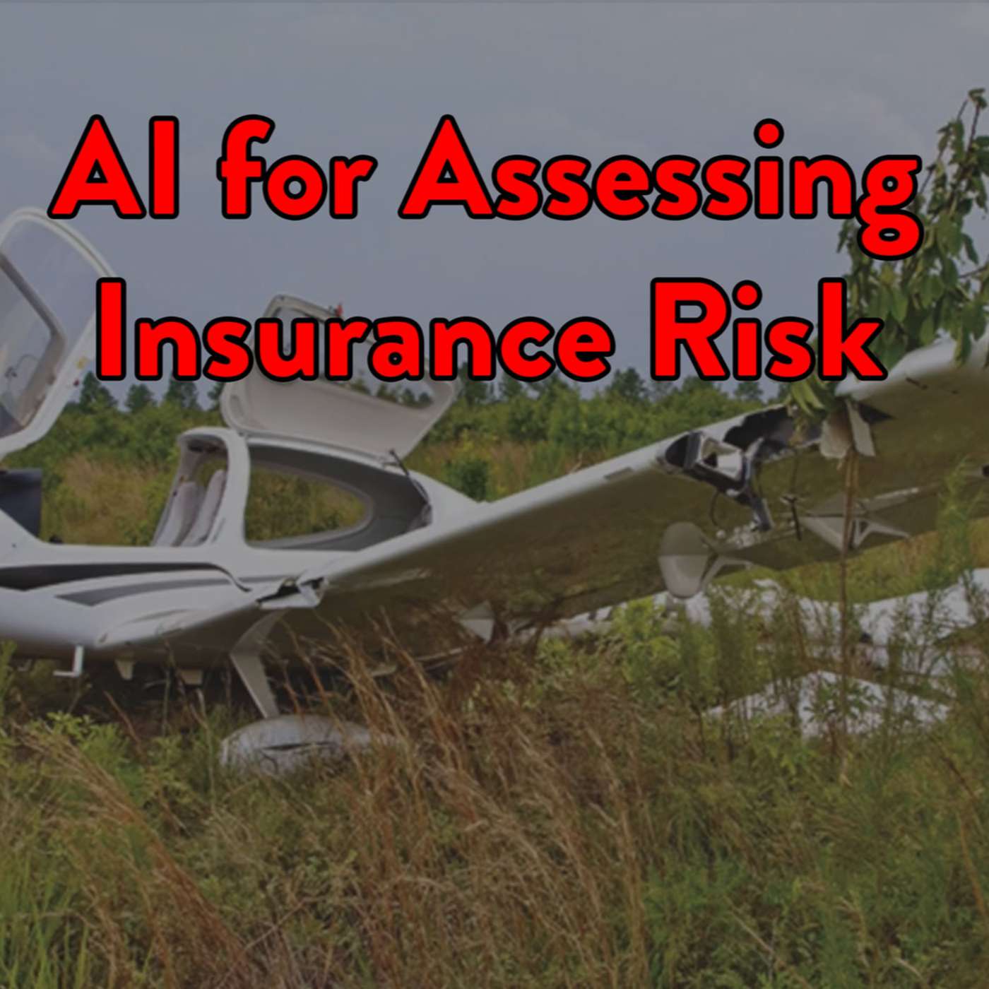 Aircraft Insurance Policies: AI for Assessing Risk