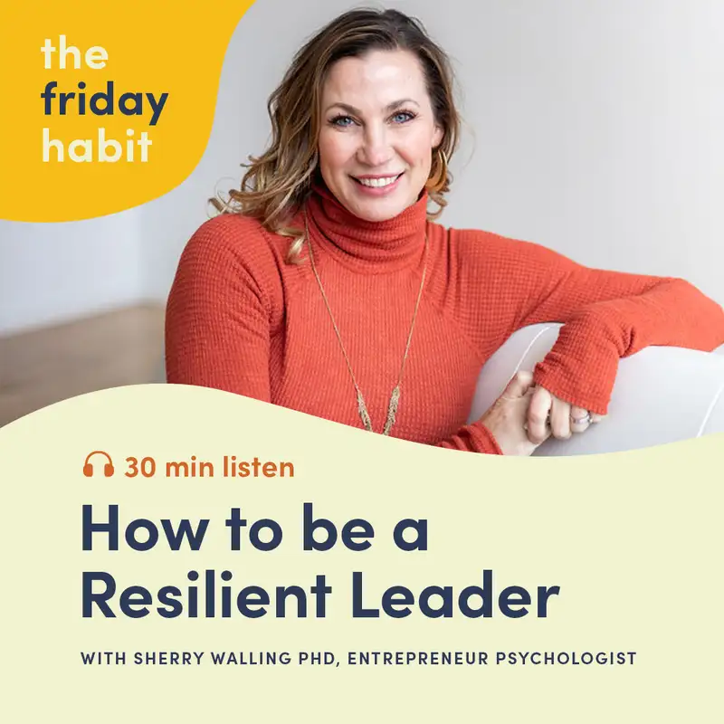 Being Resilient with Sherry Walling, PhD