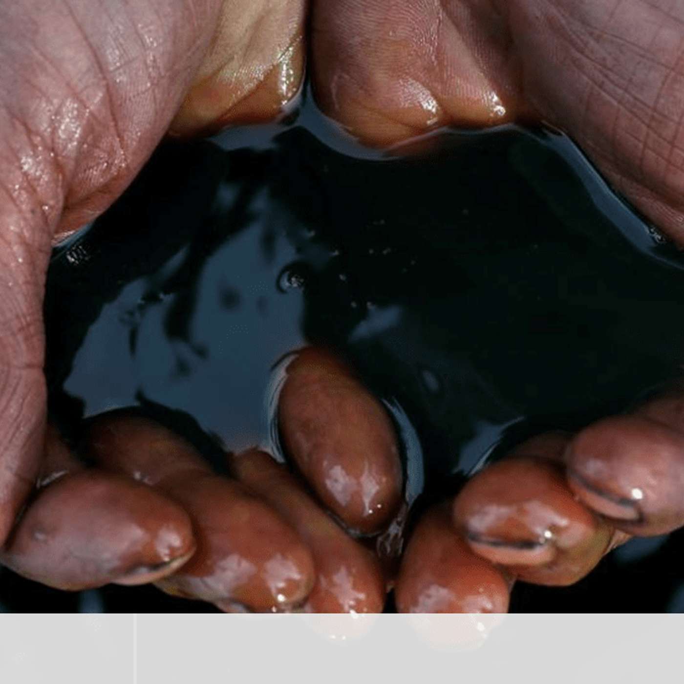 OPEC Cuts 2024 Oil Demand, Iran Vice President Resigns, US Resumes Arms Sales to Saudi, Abbas Seeks Putin's Support, and more...