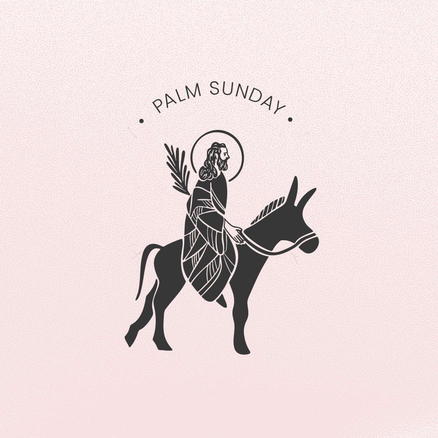 The King We Want or the King We Need | Palm Sunday | Matthew 21:1-11 episode artwork