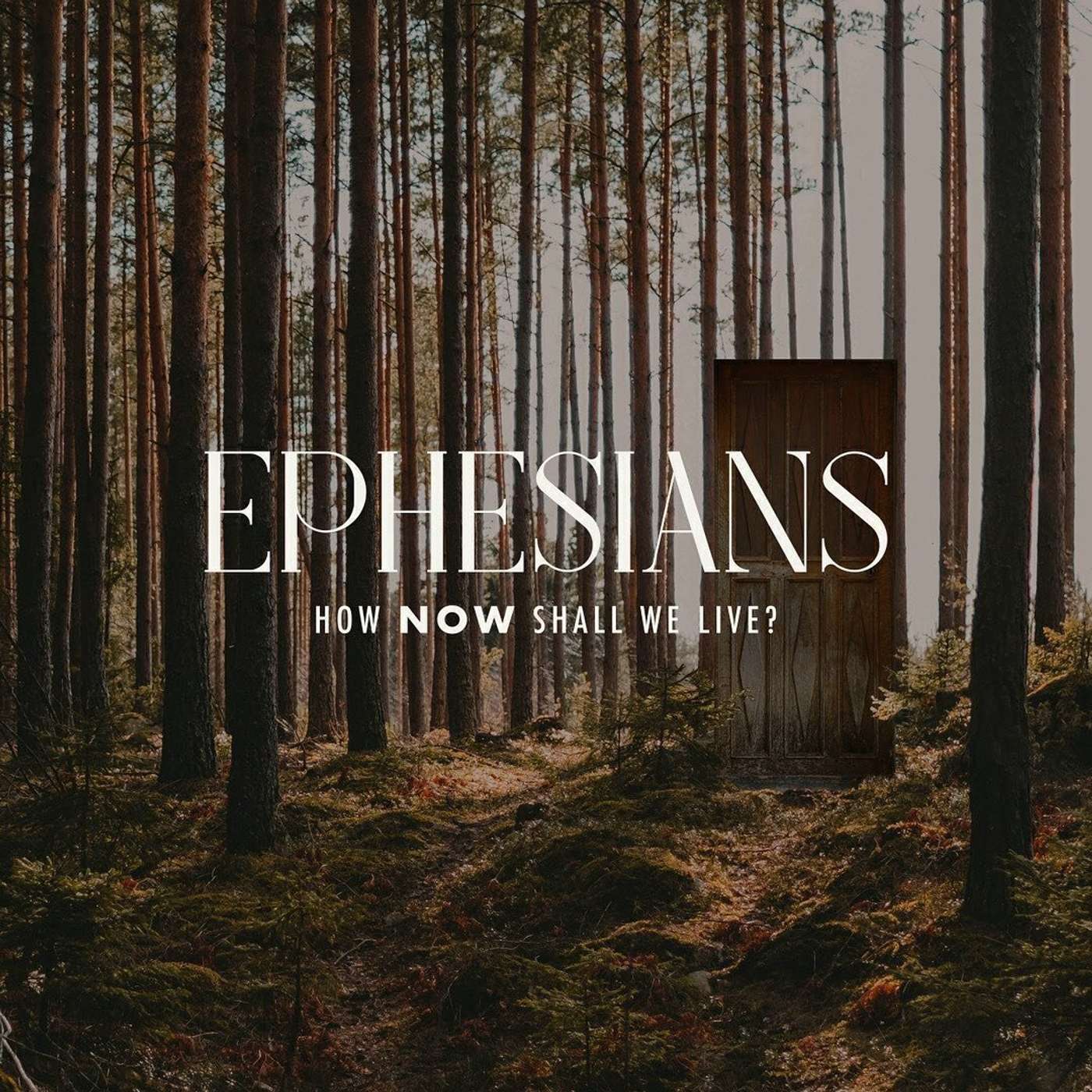 Newlife Church: Brisbane