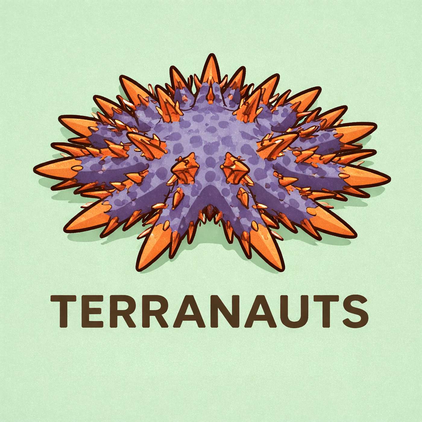 ¡Estrella de mar corona de espinas!