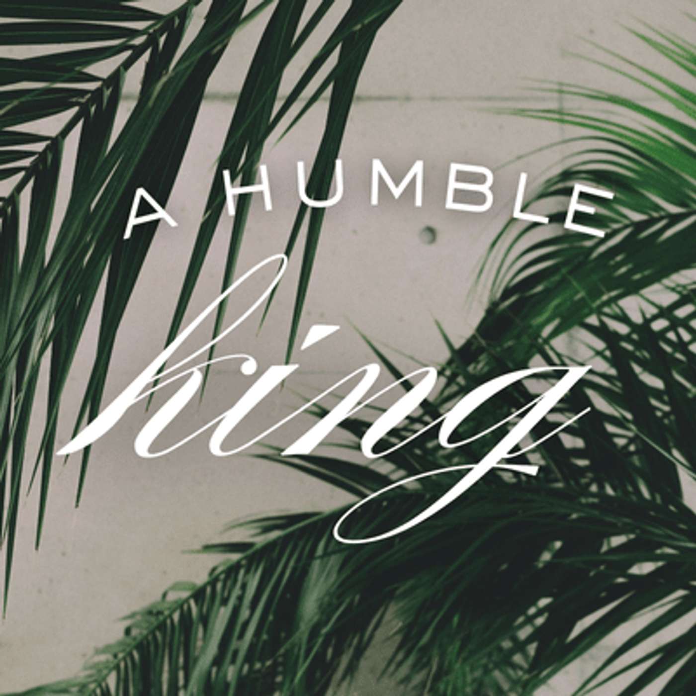 Elm City Vineyard Church Talks