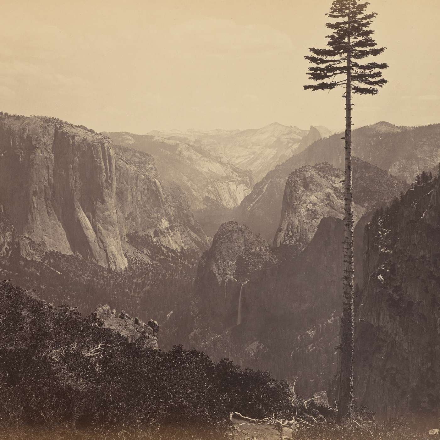 Carleton Watkins and Photography’s Romance with the American West episode artwork
