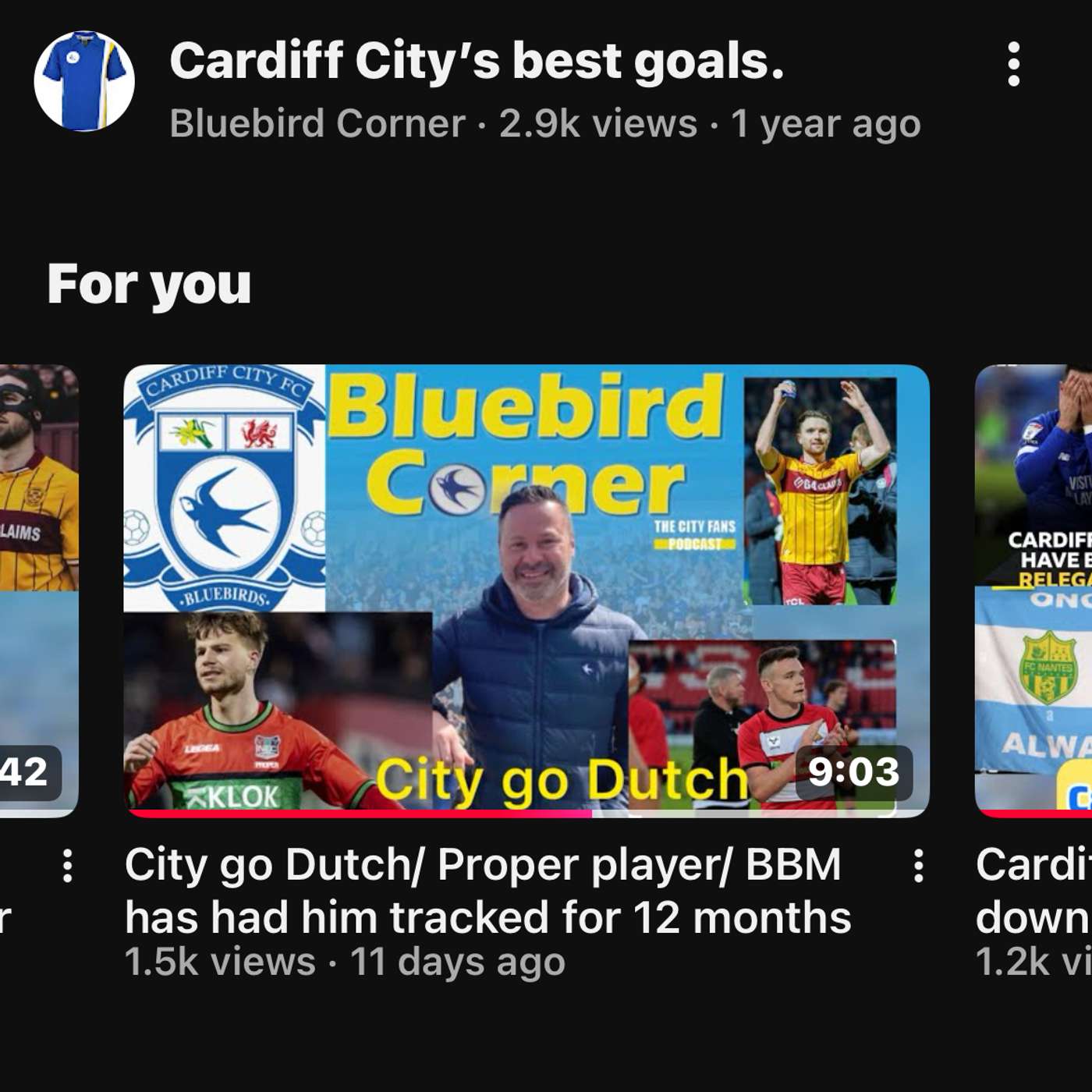 Cardiff City go Dutch podcast artwork