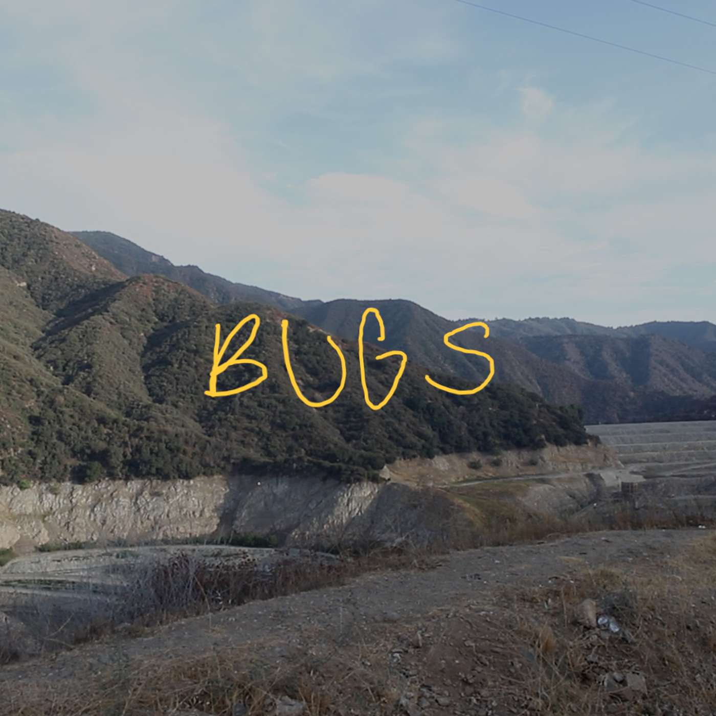 Bugs episode artwork