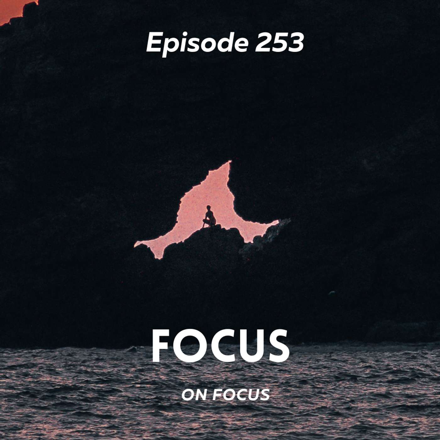Focus on Focus episode artwork