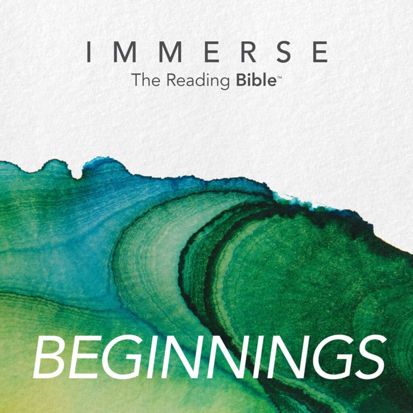Immerse Beginnings Day 143 Year 3 Daily Bible Reading