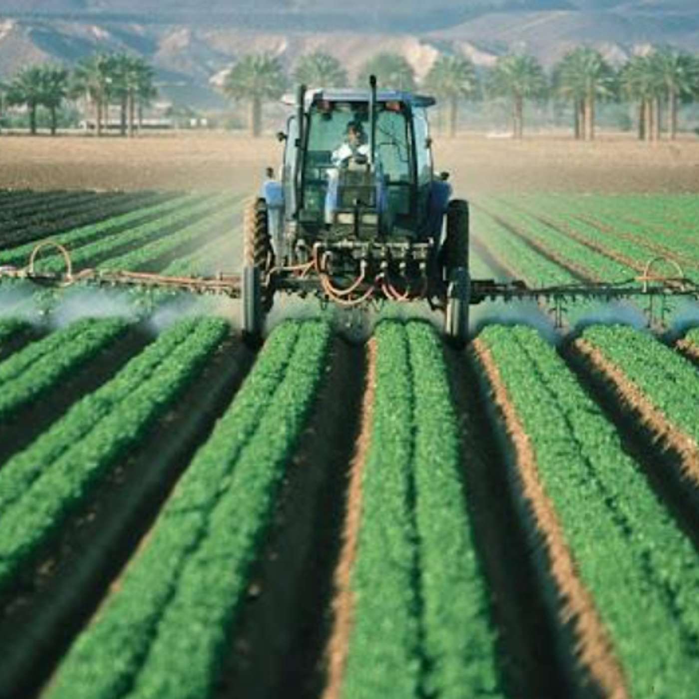 How Smarter Systems Speed Up Loan Processing for Rural America