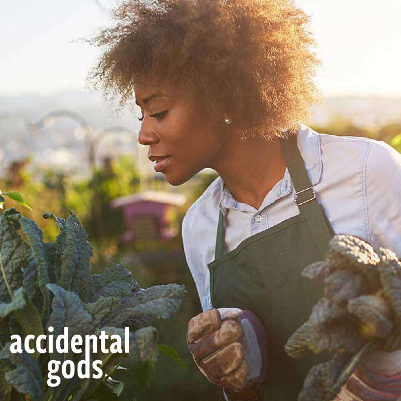 Hearing our Calling - exploring the world of our soul’s true calling with Gill Coombs