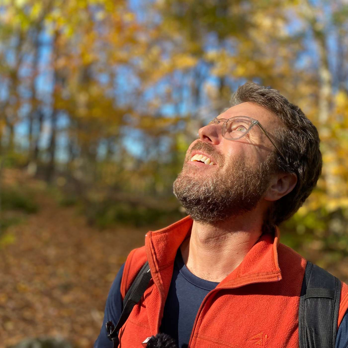 Walking the Long Path: From Manhattan to the Catskills