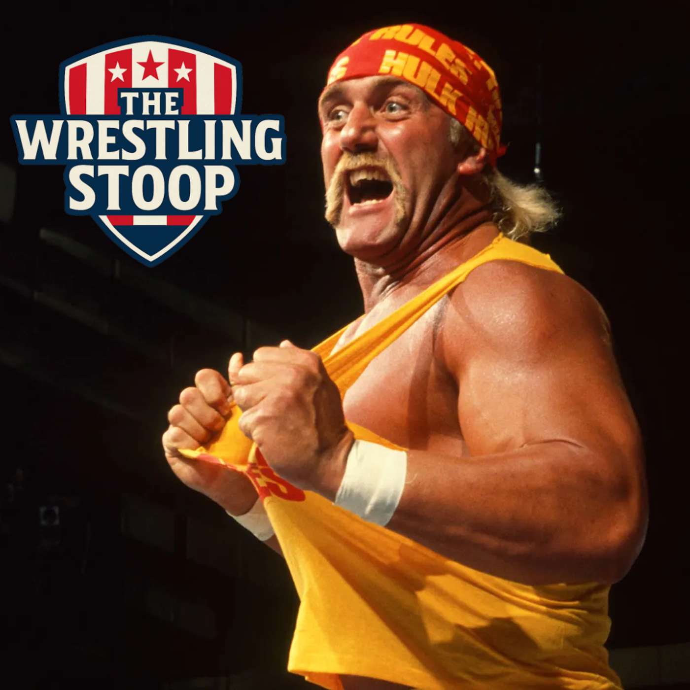 The Wrestling Stoop w/Bob Roop
