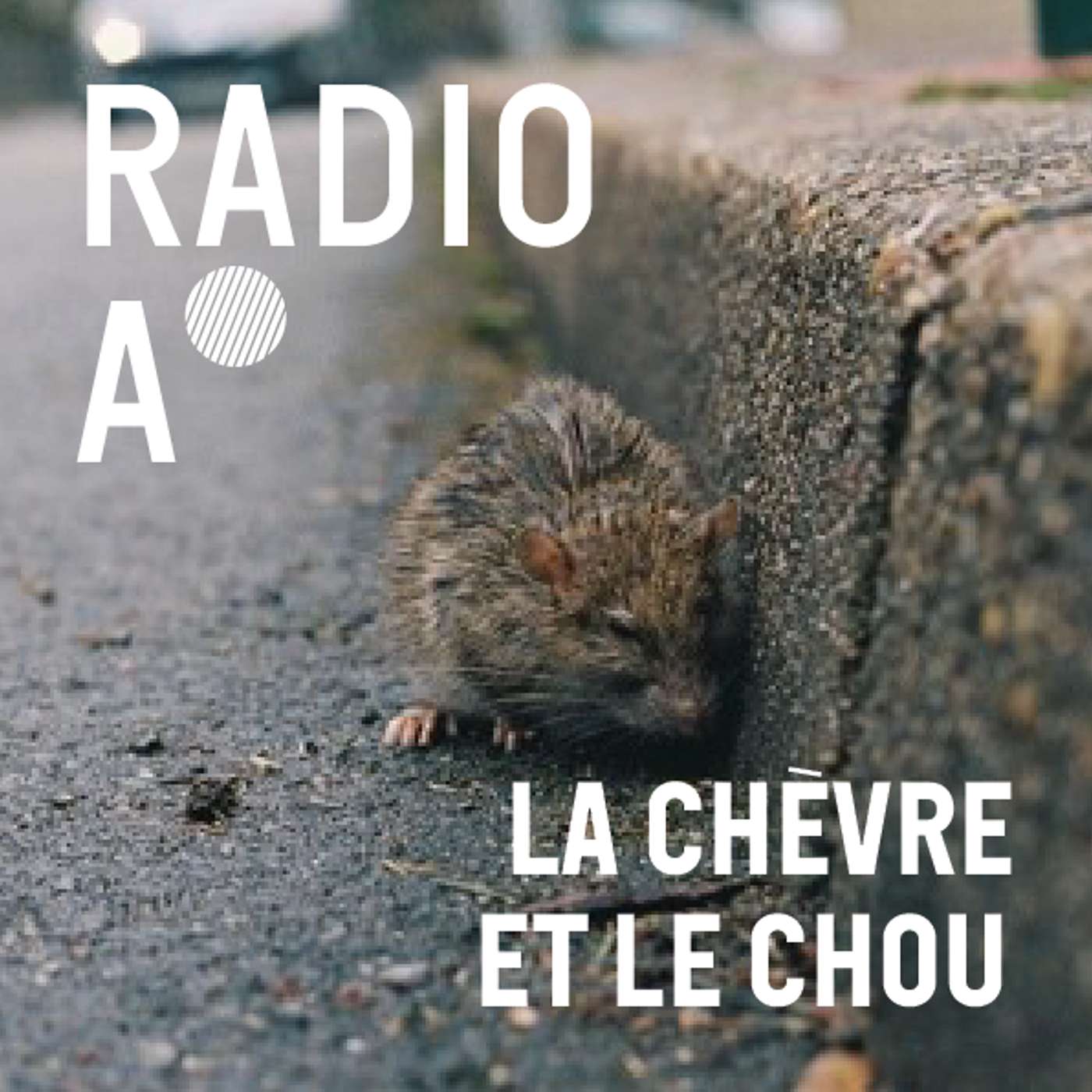 Quelles places pour les "indésirables" en ville?