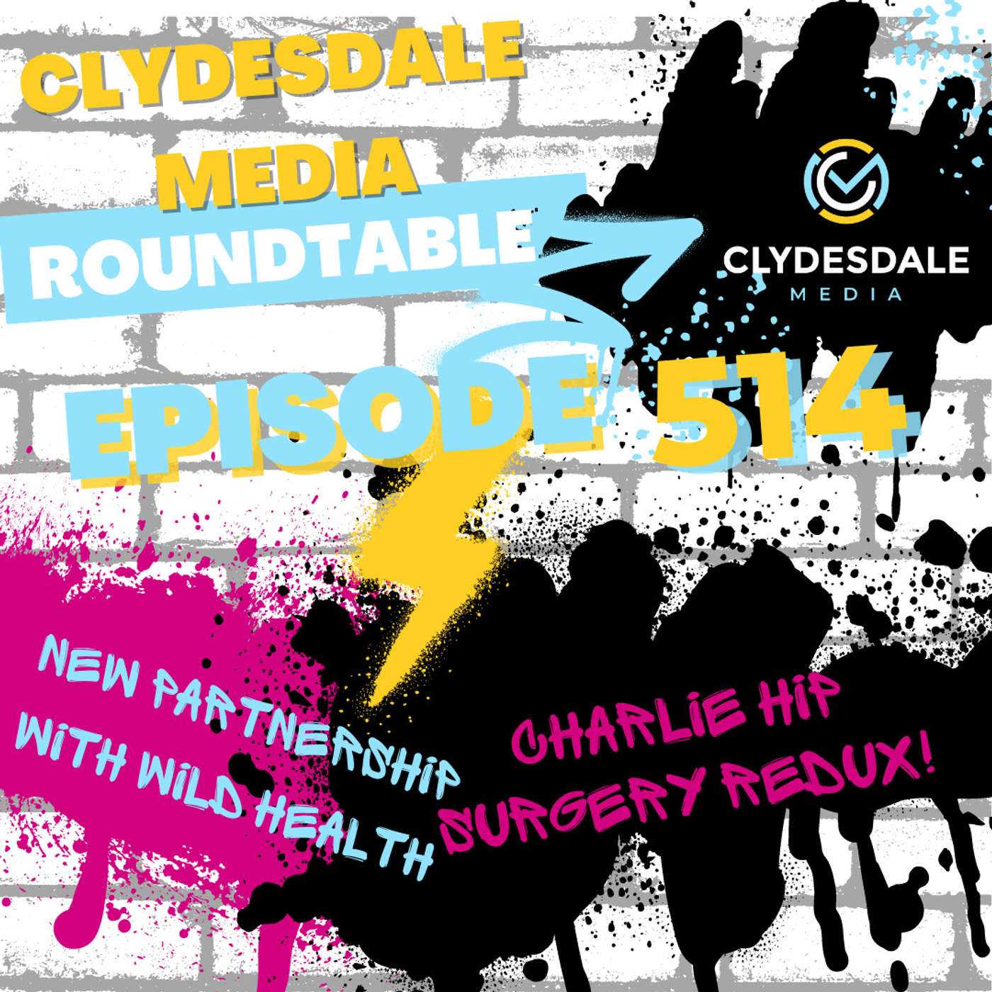 Clydesdale Media Roundtable - Charlie Hip Surgery Redux episode artwork