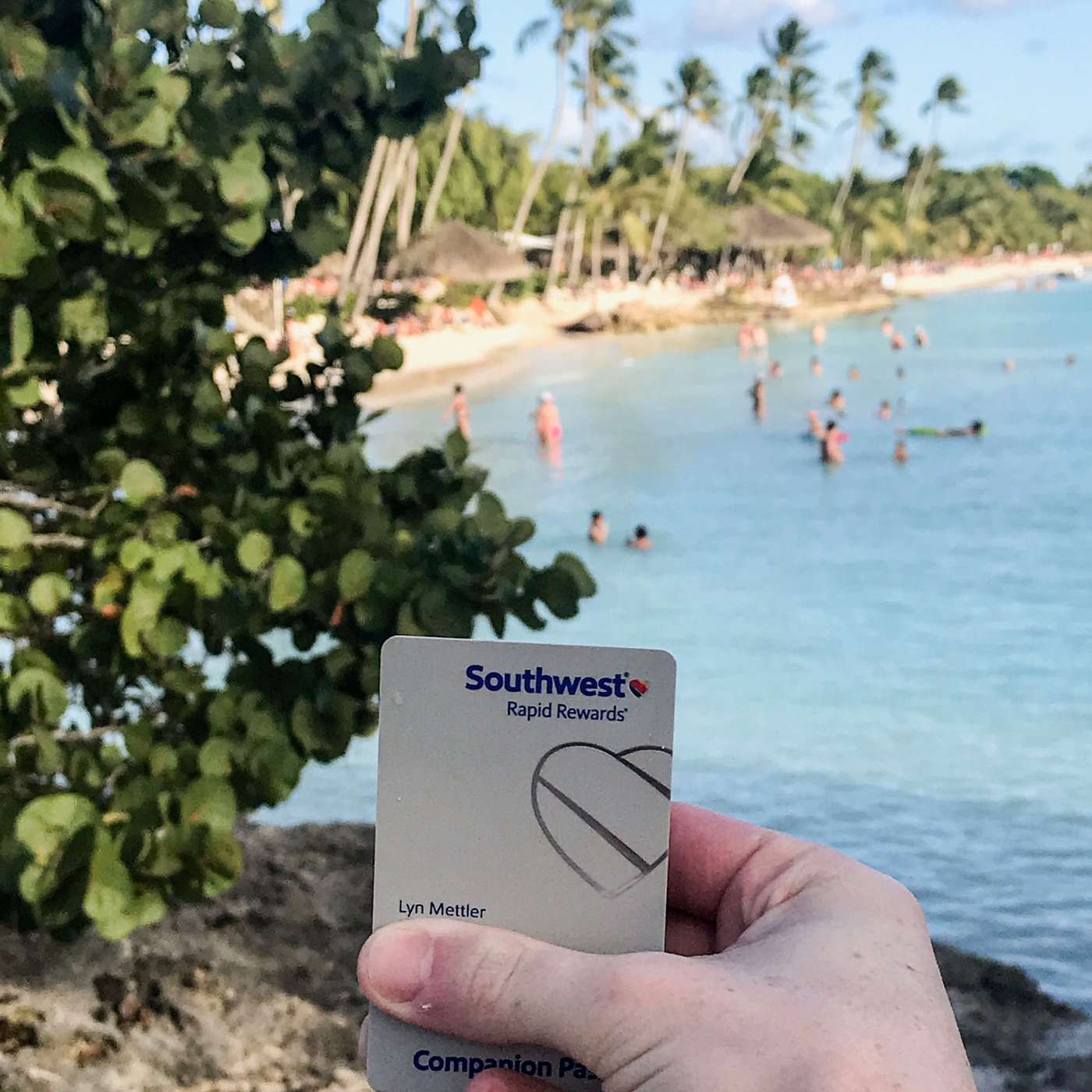 204 | ✈️ Did You Make This Common Year-End Southwest Companion Pass Mistake?