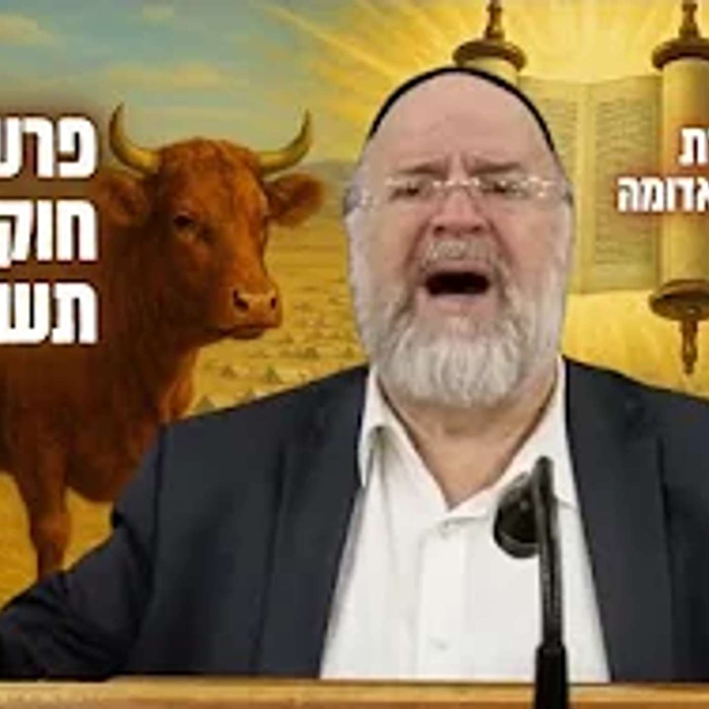 השיעור השבועי פרשת חוקת תשפ"ה - הרב ברוך רוזנבלום בהמחשה מיוחדת על פרה אדומה !! שיעור אלעד