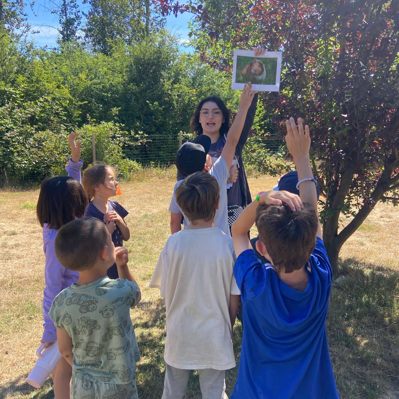 BC SPCA summer camp not just fun for kids, but impactful for animals episode artwork