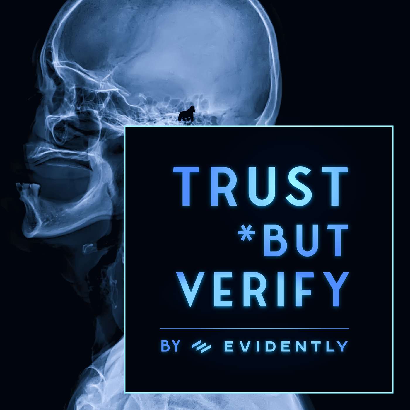 Trust But Verify: The Evidently Podcast cover art