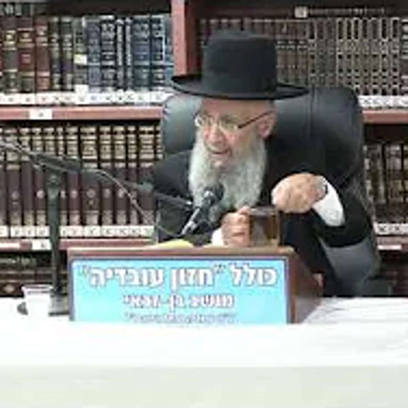 הרב גדעון בן משה :  הלכות שבת -  דין בורר .