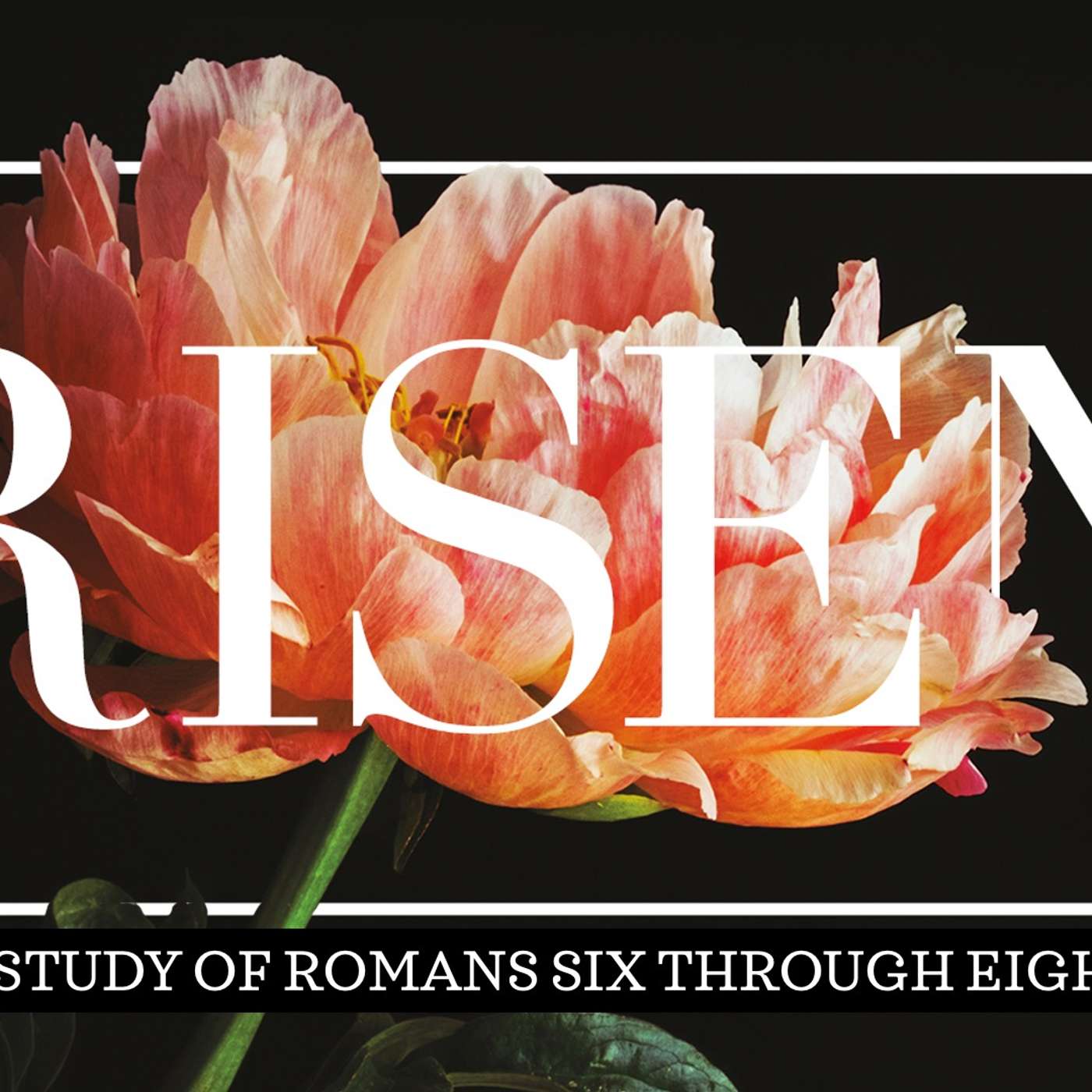 Risen : Dead To Sin, Alive To God (4/7/2024) episode artwork