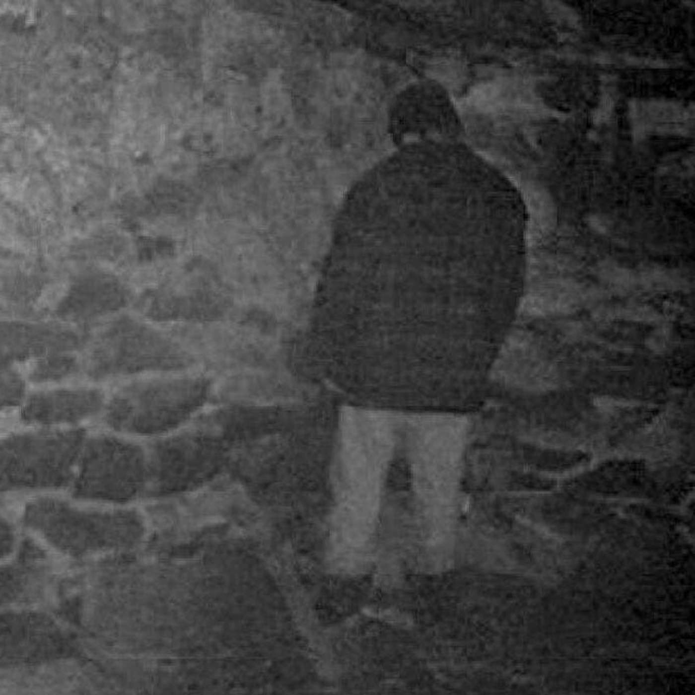 BONUS: Movie Night Extravaganza - Blair Witch Factory episode artwork