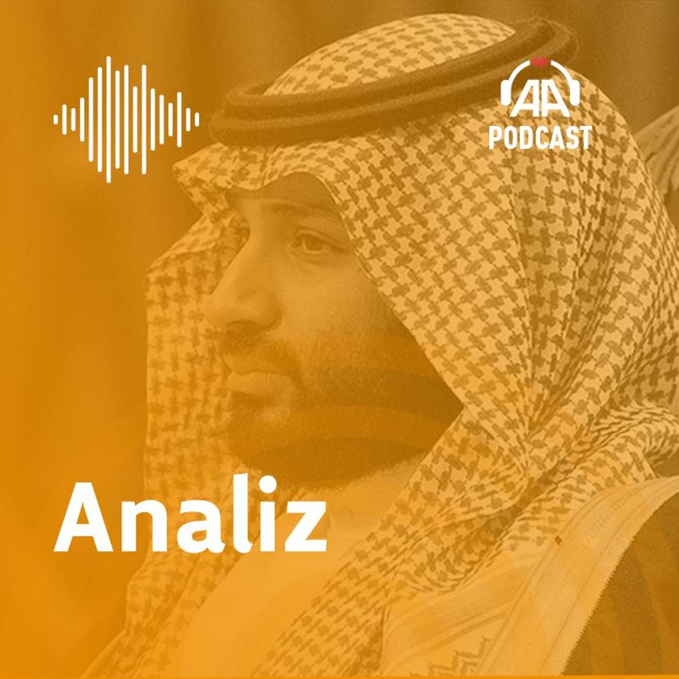 Analiz ve görüşler