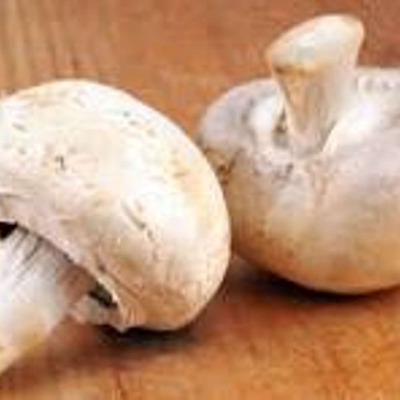 Ravioles sur velouté de champignons