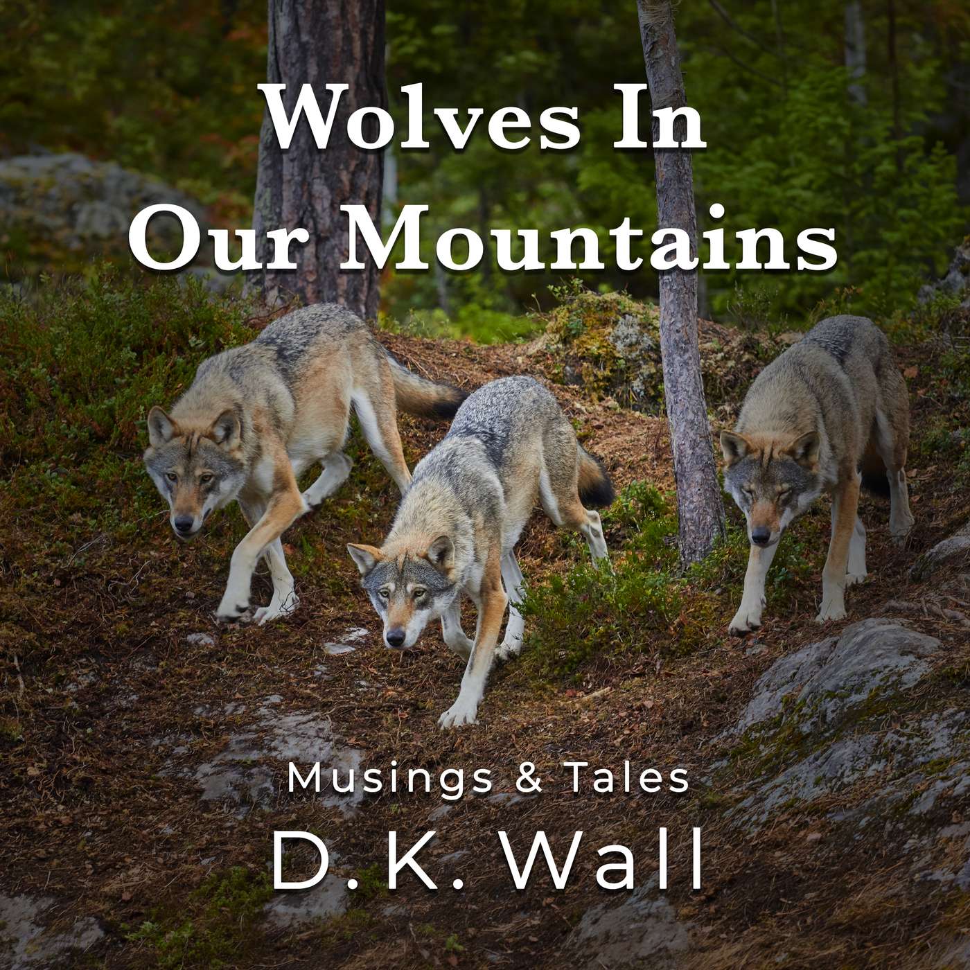 Wolves In Our Mountains episode artwork