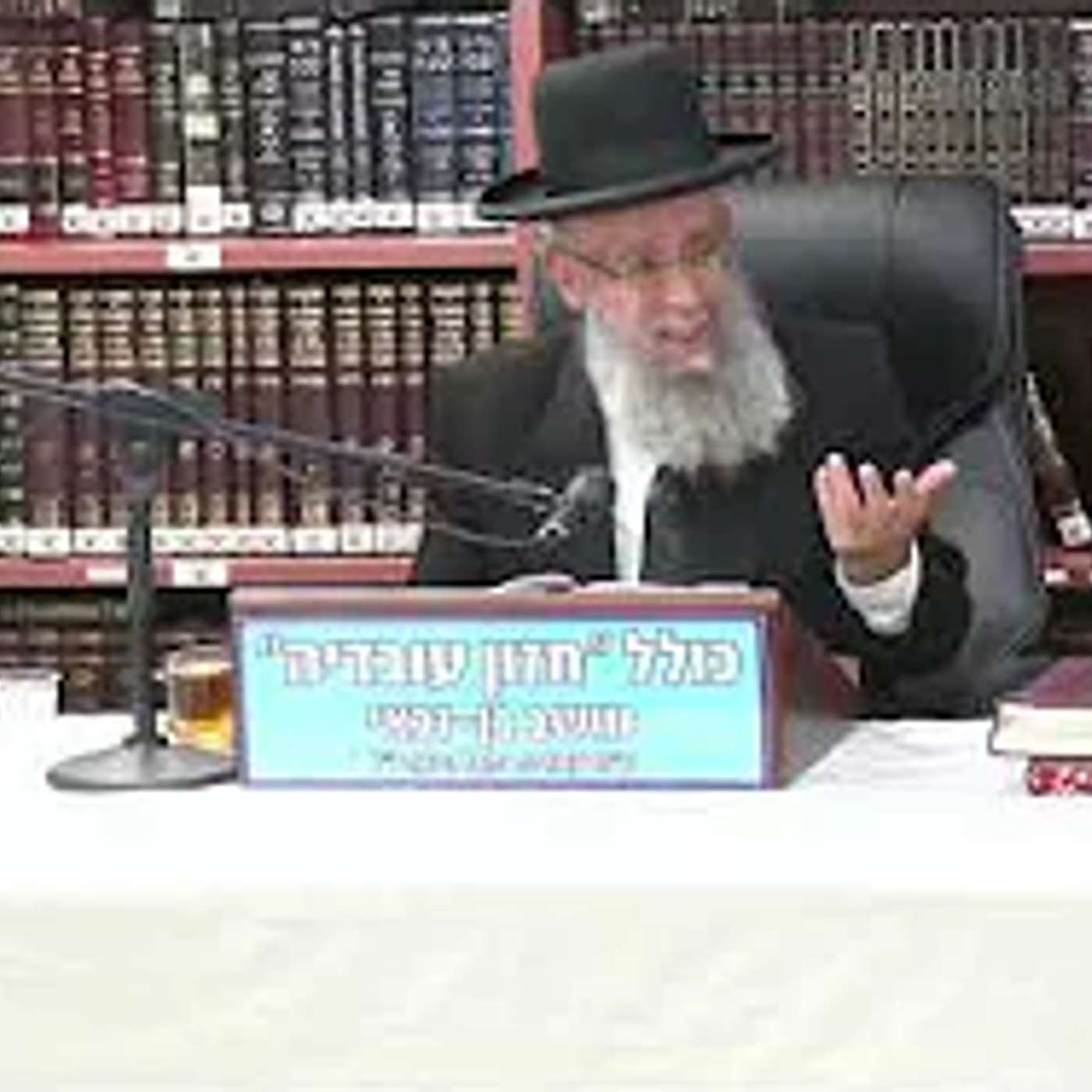 הרב גדעון בן משה  : תריג מצוות.