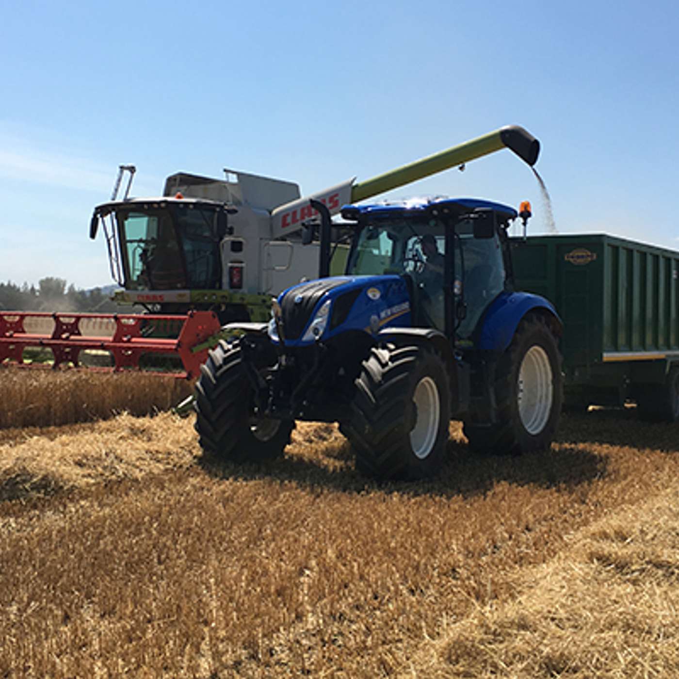 Lessons from the 2025 Tillage Season Lessons from the 2025 Tillage Season