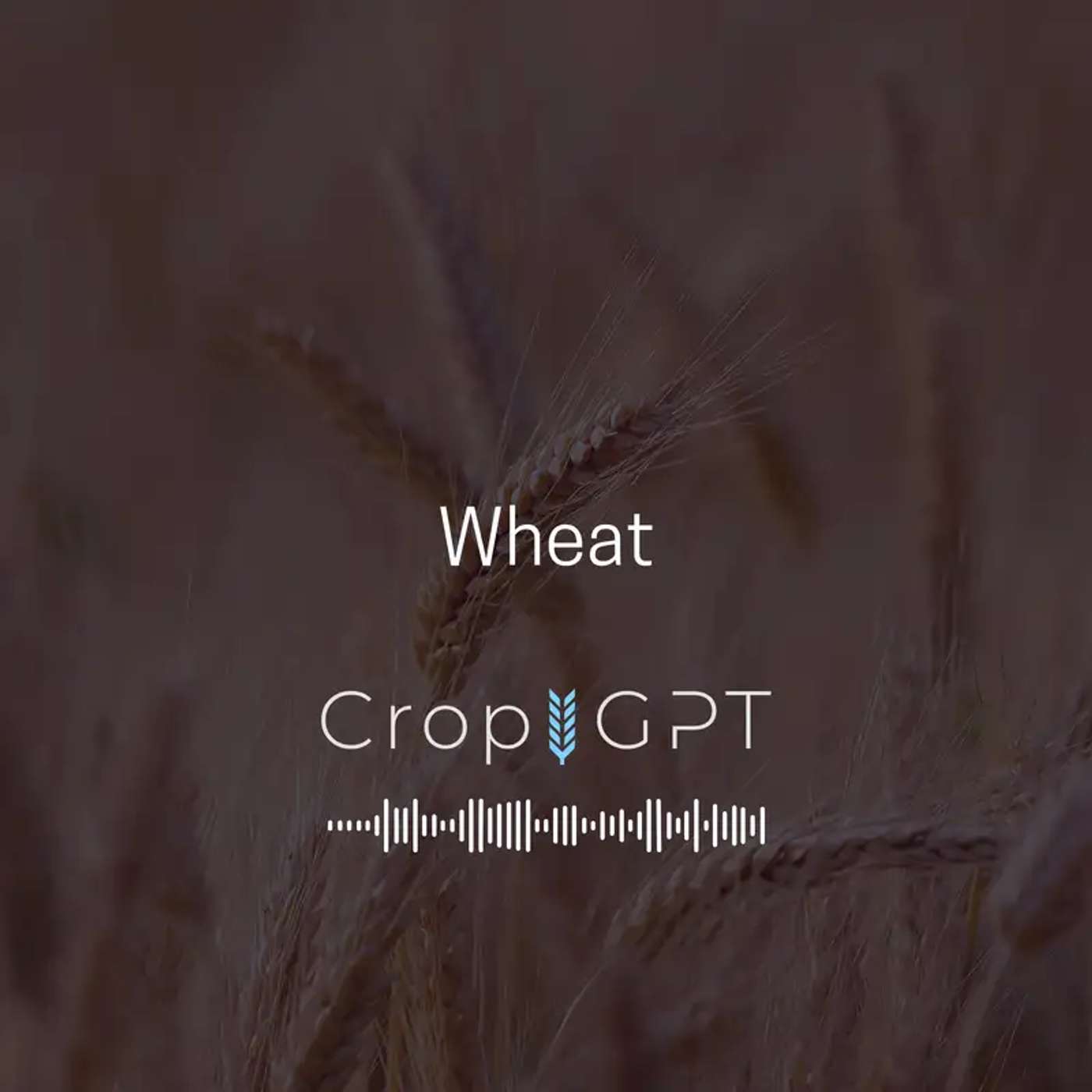 CropGPT - Podcast for Commodities